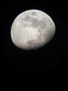 Fotografía obtenida con un móvil Xiaomi acoplada a un telescopio Nexstar5. Se ve la Luna gibosa, parcialmente iluminada. Se aprecian los mares.