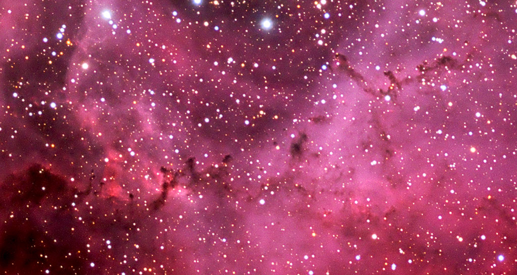 Nebulosa Roseta, una flor cósmica
